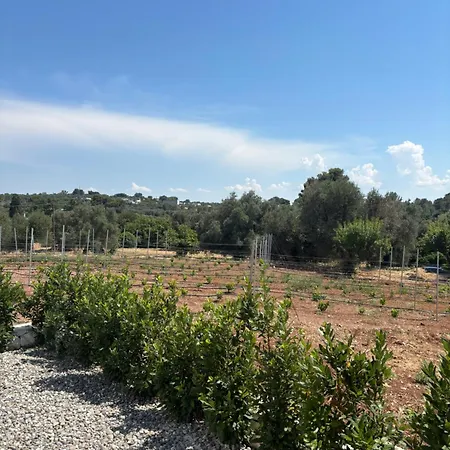 Trullo Botanico Villa *