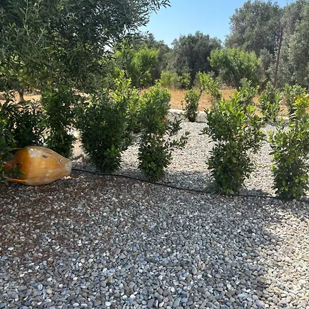 Trullo Botanico Villa Ceglie Messapica
